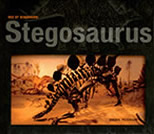 Stegosaurus by Sheryl Peterson